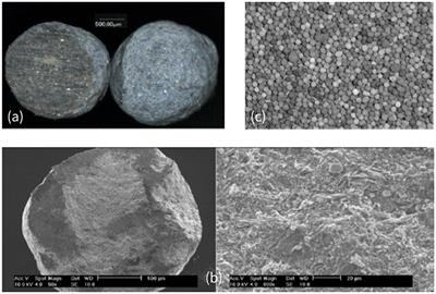 Numerical Simulation of Solid Combustion in Microporous Particles